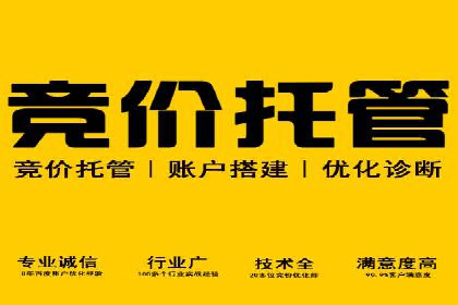 百度竞价排名服务助力：某品牌迅速占领市场